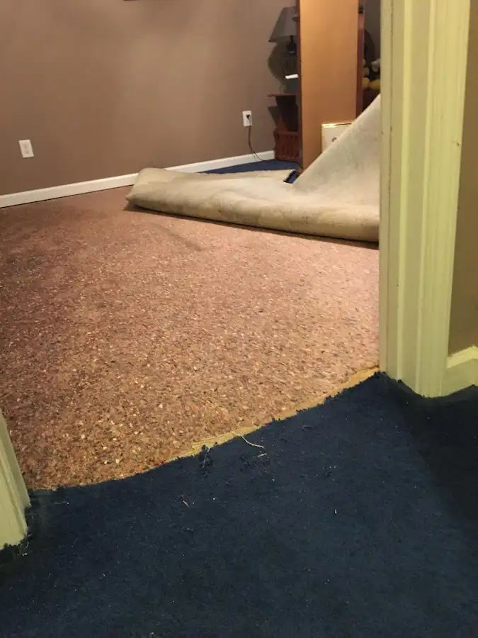 Carpet pad removal revealing water damage during Drying & Dehumidification in Hollister
