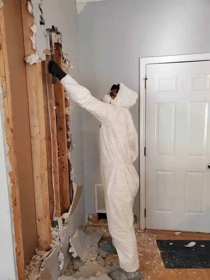 Water Damage Restoration services in Hollister, CA